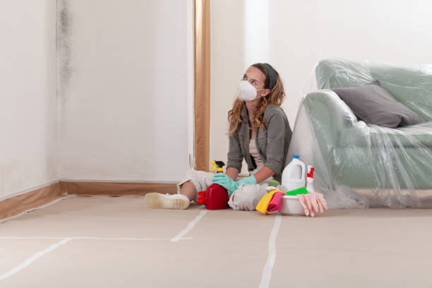 Reliable Basement Mold Removal contractor in Centreville, MI by Cheap Mold Removal